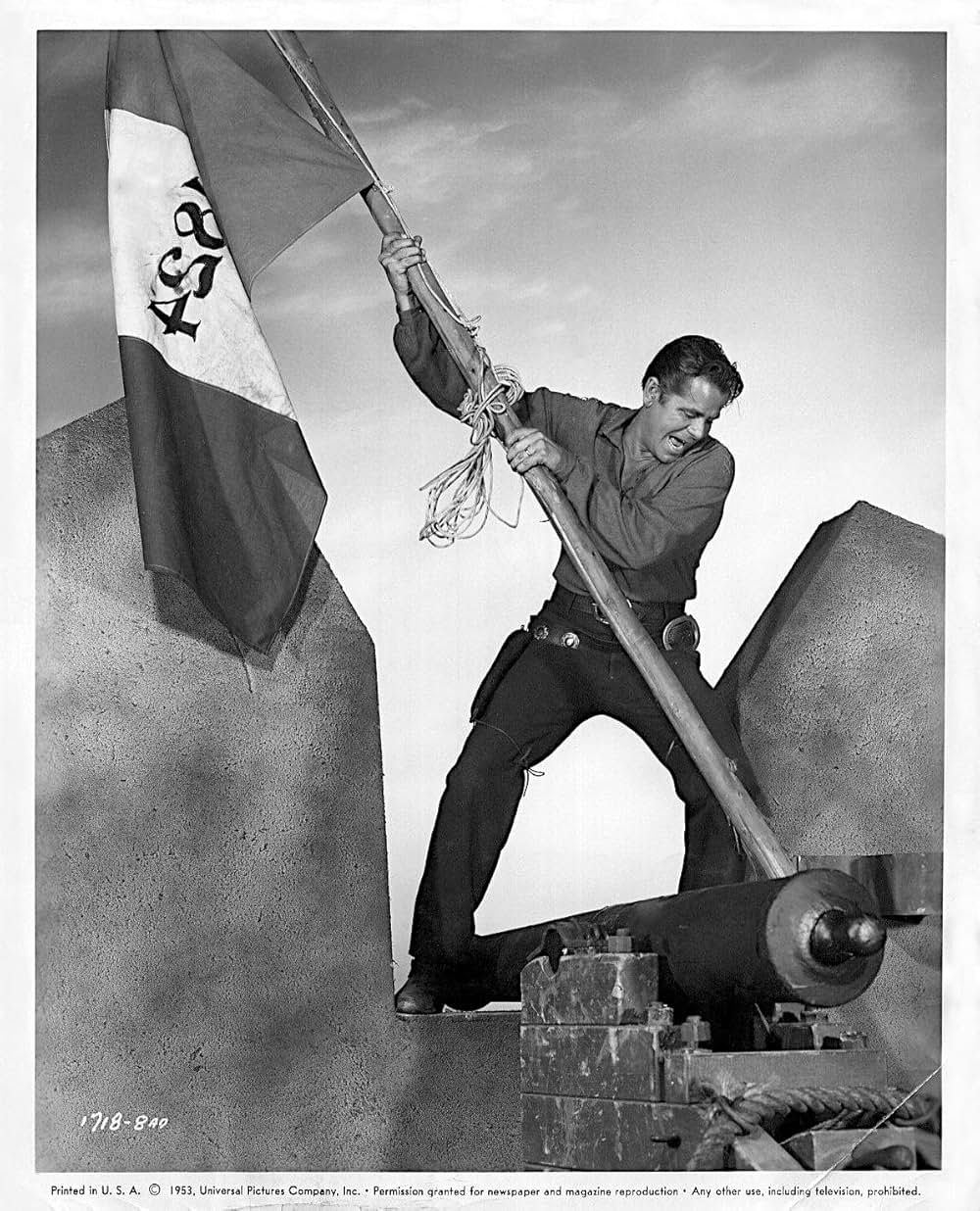 平原の待伏せの画像