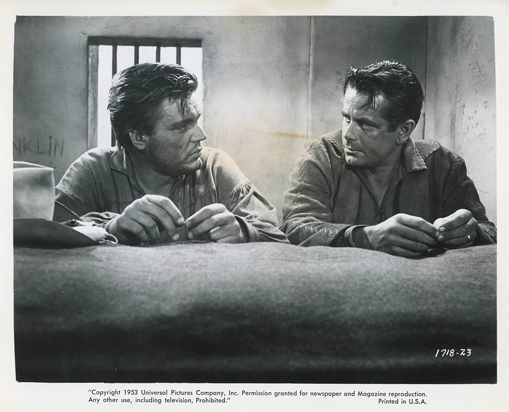 平原の待伏せの画像