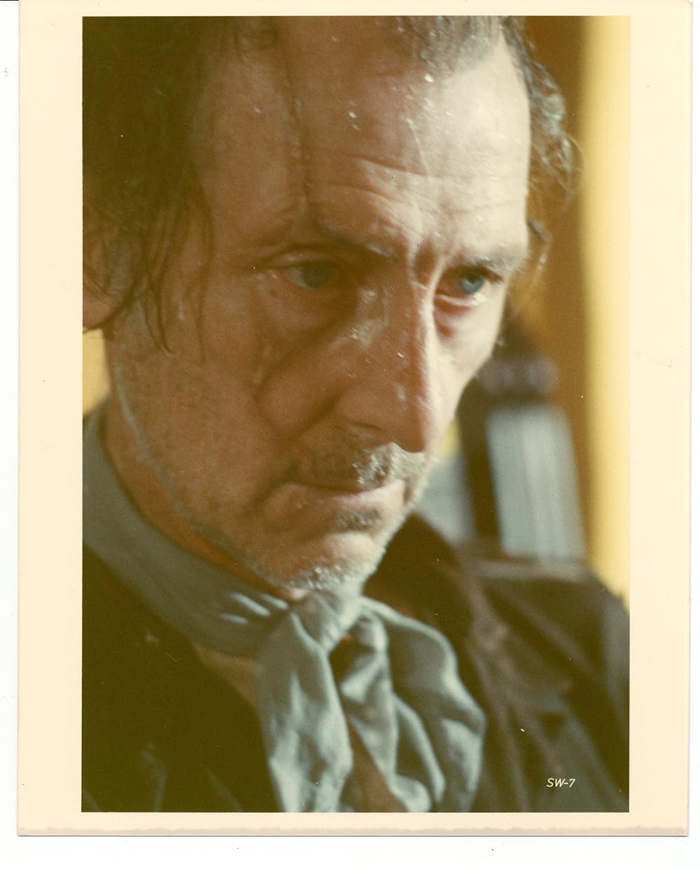 ゲシュタポ卍（ナチ）死霊軍団／カリブゾンビの画像