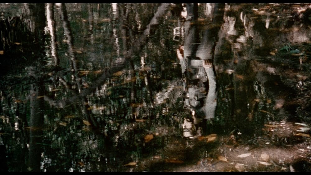 ゲシュタポ卍（ナチ）死霊軍団／カリブゾンビの画像