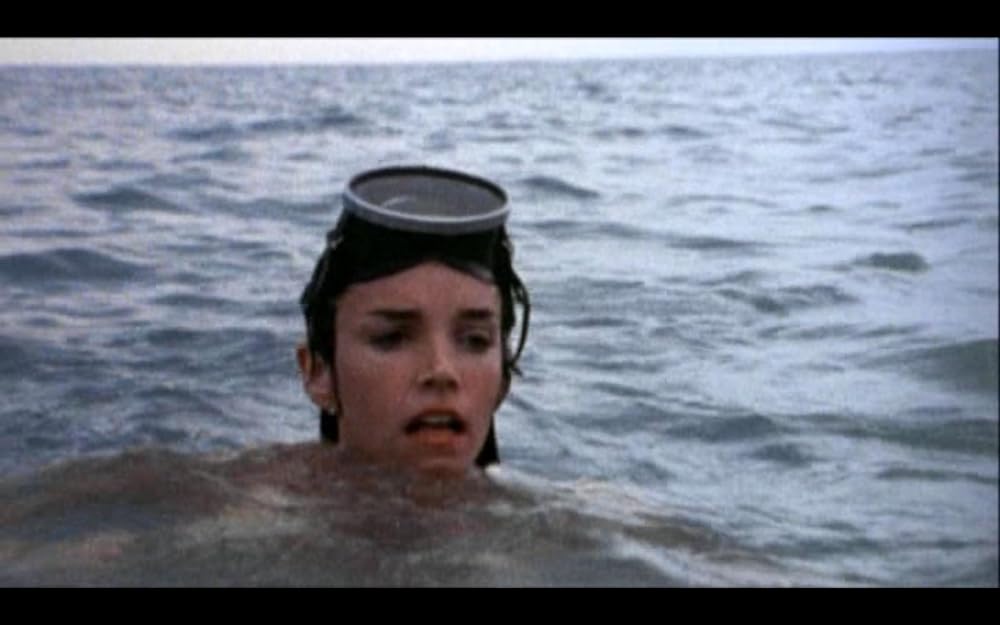 ゲシュタポ卍（ナチ）死霊軍団／カリブゾンビの画像