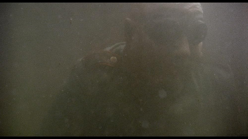 ゲシュタポ卍（ナチ）死霊軍団／カリブゾンビの画像