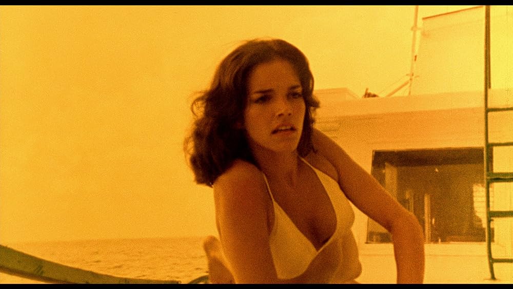 ゲシュタポ卍（ナチ）死霊軍団／カリブゾンビの画像