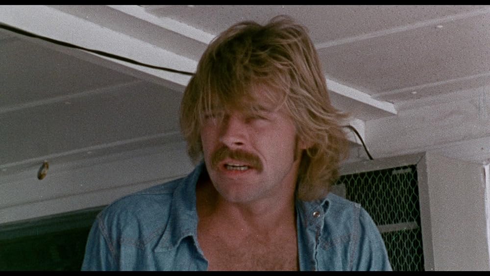 ゲシュタポ卍（ナチ）死霊軍団／カリブゾンビの画像