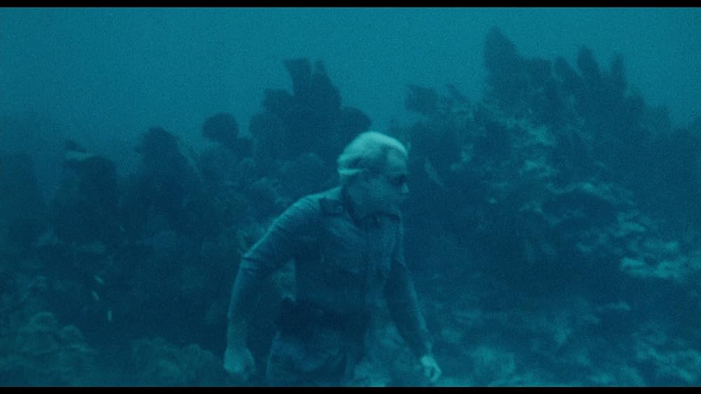 ゲシュタポ卍（ナチ）死霊軍団／カリブゾンビの画像