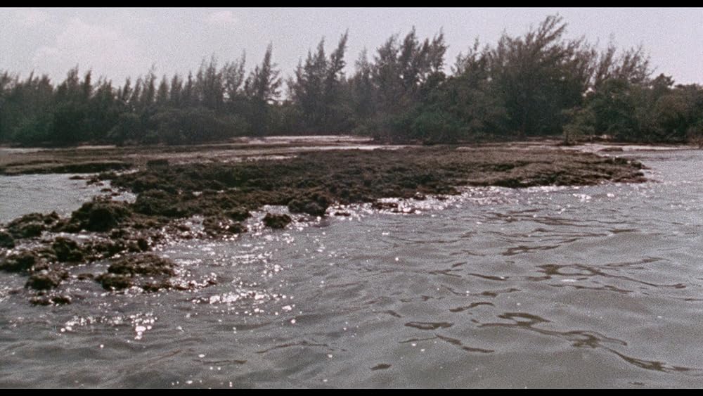 ゲシュタポ卍（ナチ）死霊軍団／カリブゾンビの画像