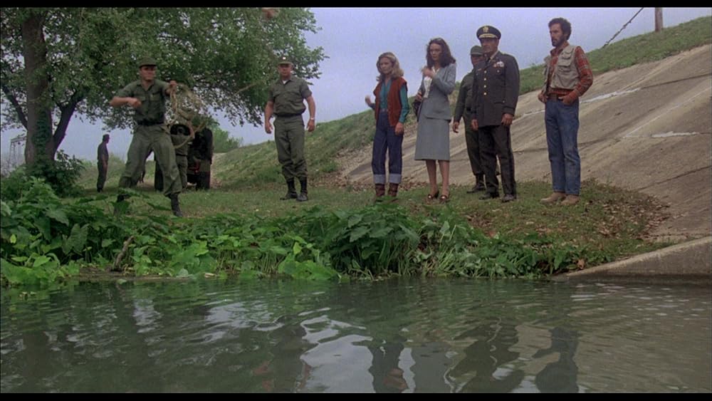 ピラニアの画像