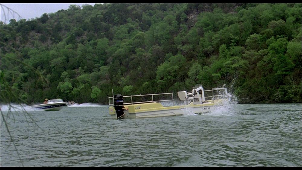 ピラニアの画像