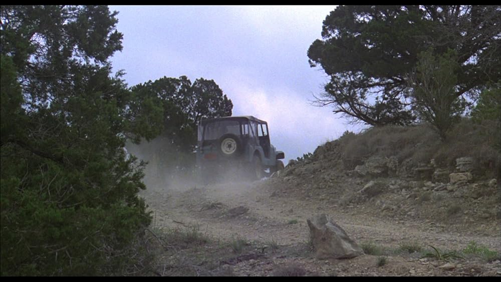 ピラニアの画像