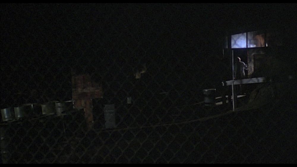 ピラニアの画像