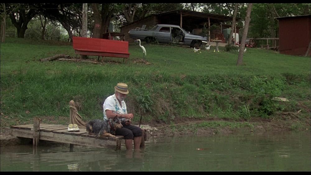 ピラニアの画像