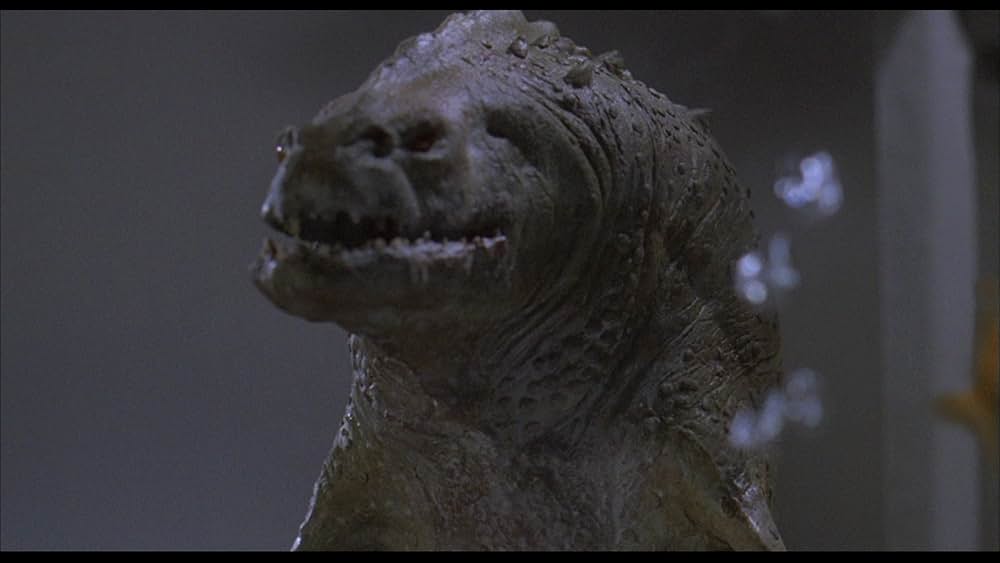 ピラニアの画像