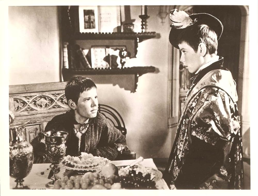 放浪の王子の画像