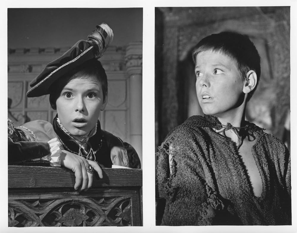 放浪の王子の画像