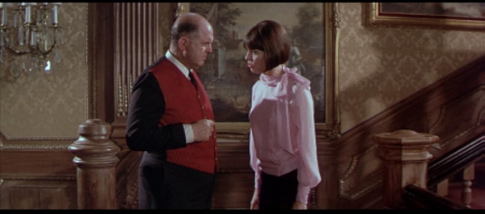 ニューヨーク泥棒結社の画像