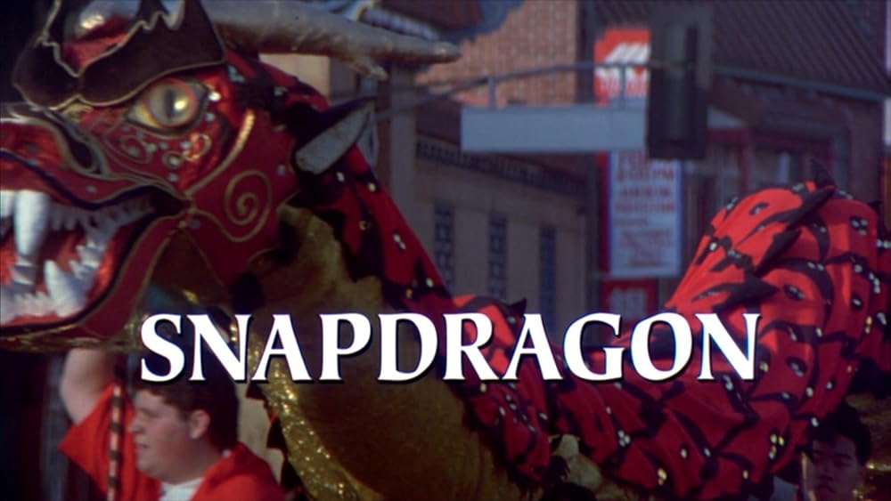 硝子のバラ／股間に香る殺意の画像