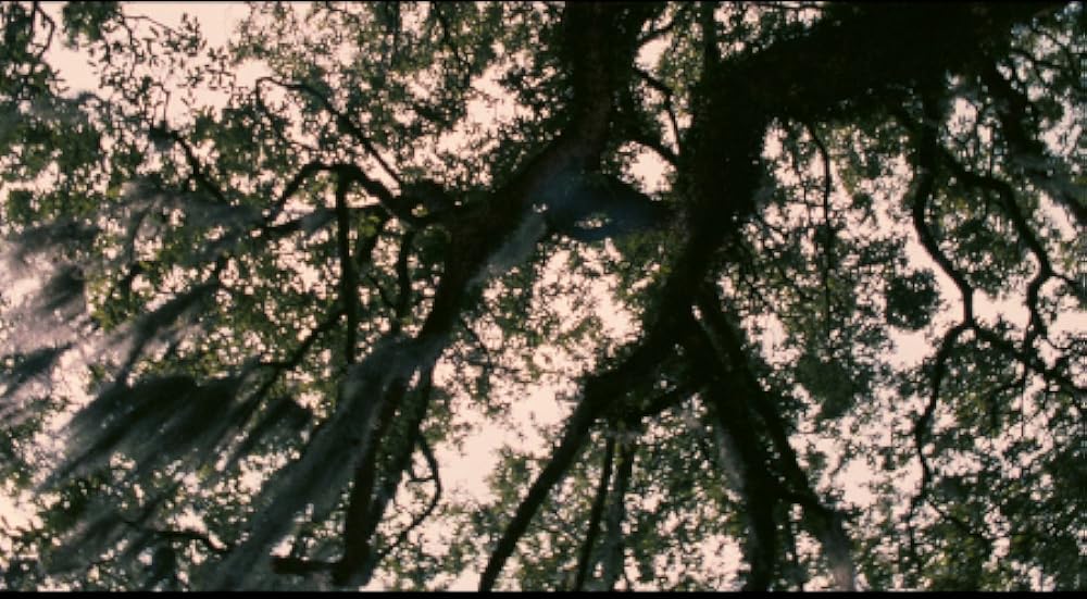 プレイヤー／死の祈りの画像