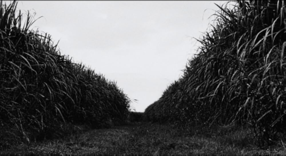 プレイヤー／死の祈りの画像