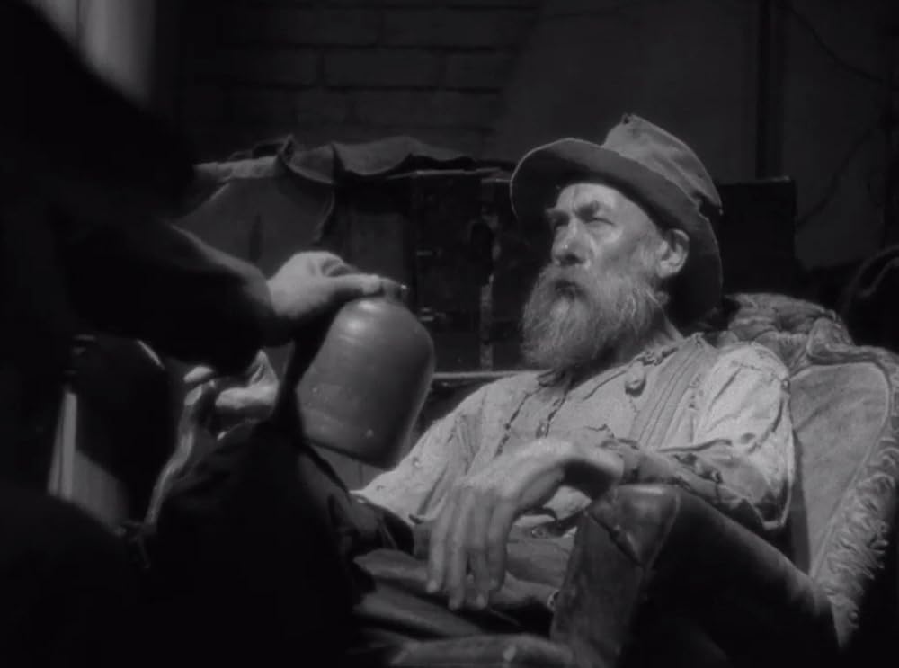 暴風の処女の画像