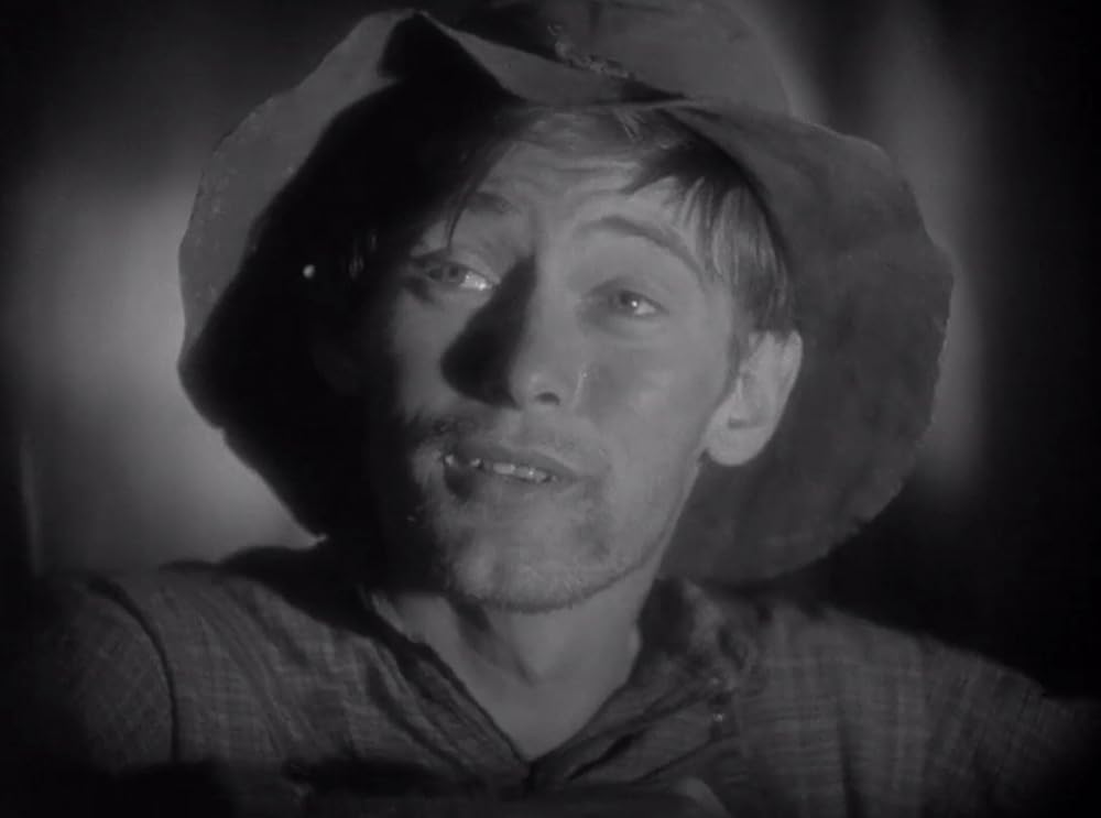 暴風の処女の画像