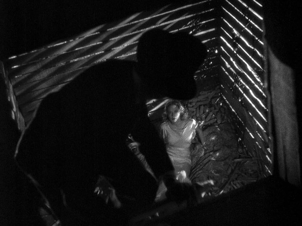 暴風の処女の画像