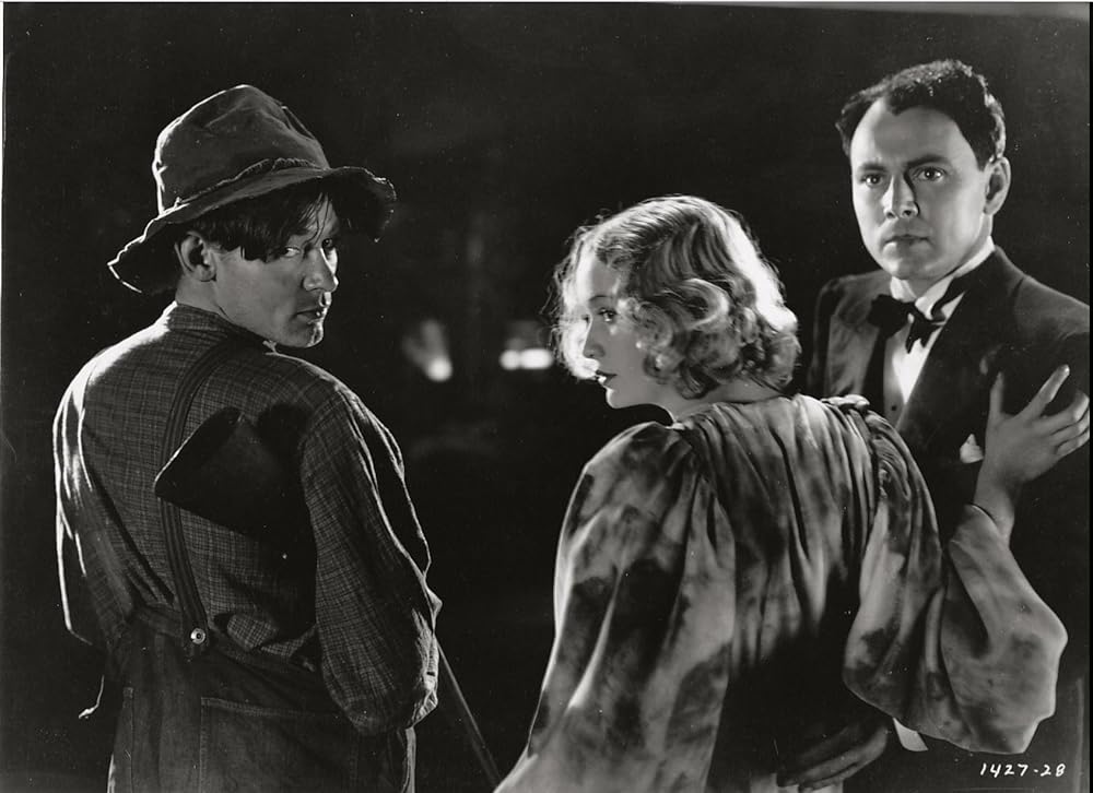 暴風の処女の画像