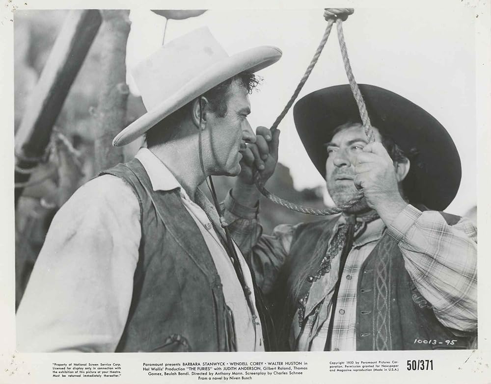 復讐の荒野の画像