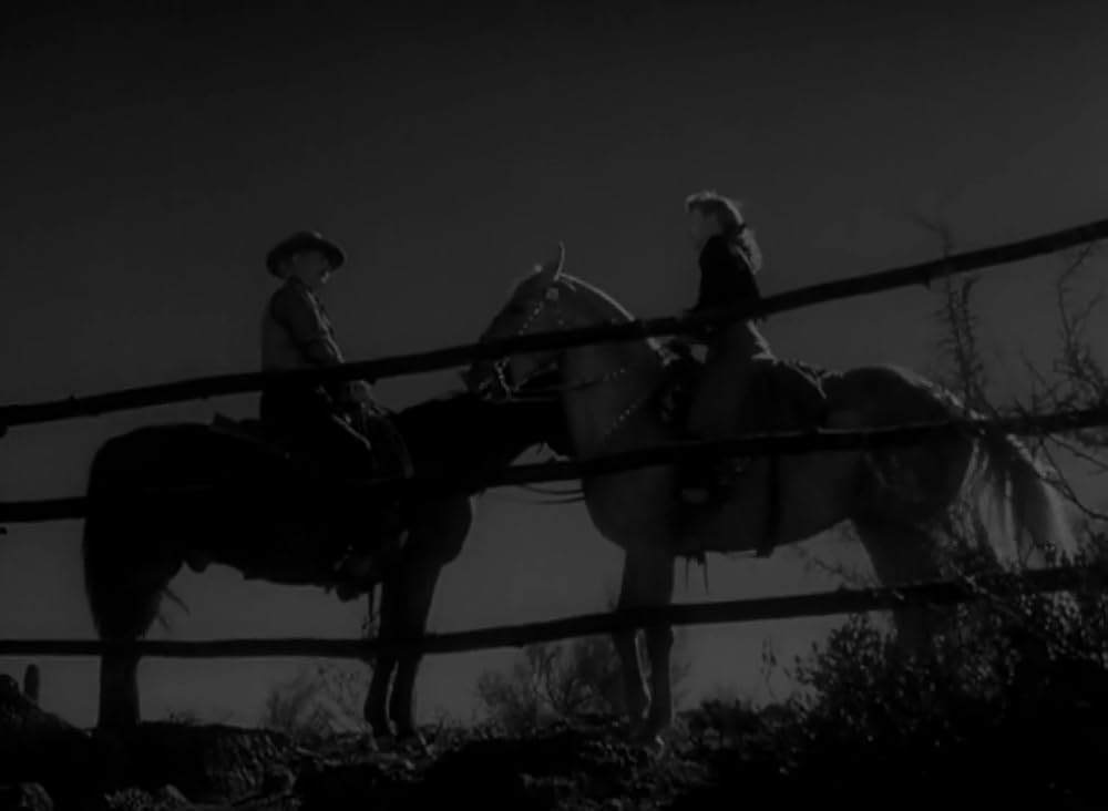 復讐の荒野の画像