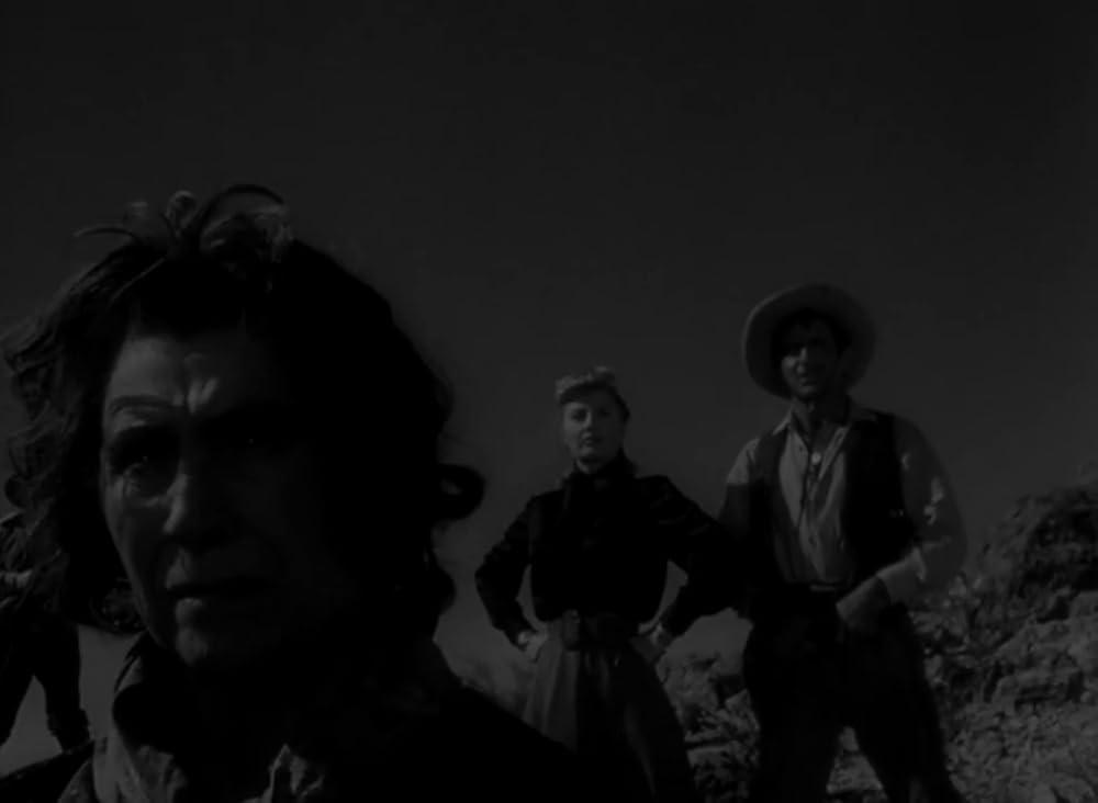 復讐の荒野の画像