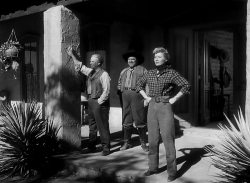 復讐の荒野の画像