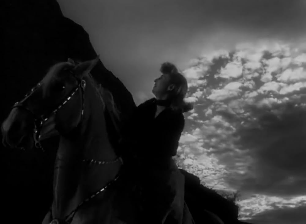 復讐の荒野の画像