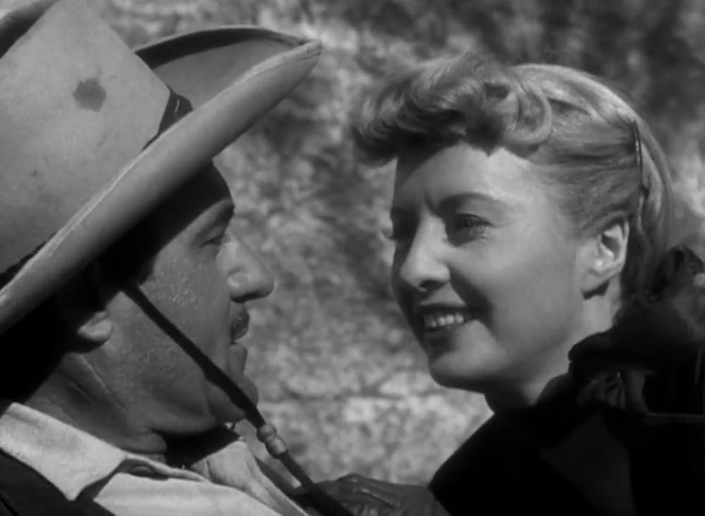 復讐の荒野の画像