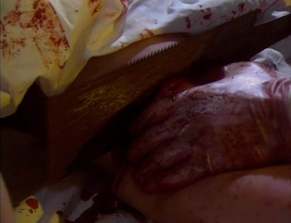 ギニーピッグ2 血肉の華の画像