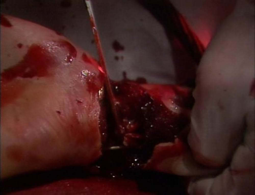 ギニーピッグ2 血肉の華の画像