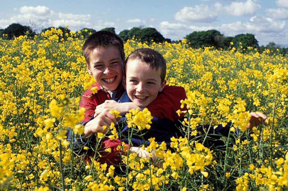 ミリオンズの画像