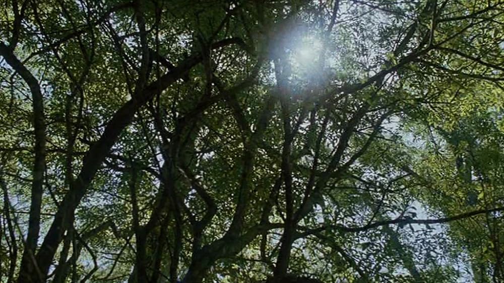 アンダートウ 決死の逃亡の画像