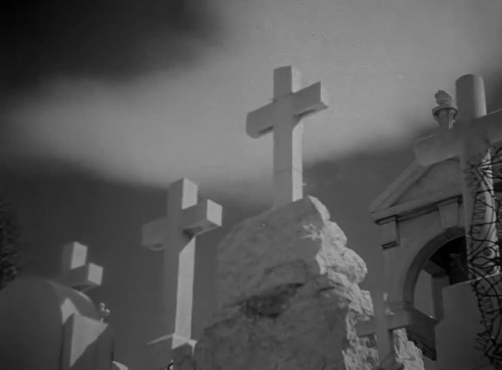 ニースについての画像