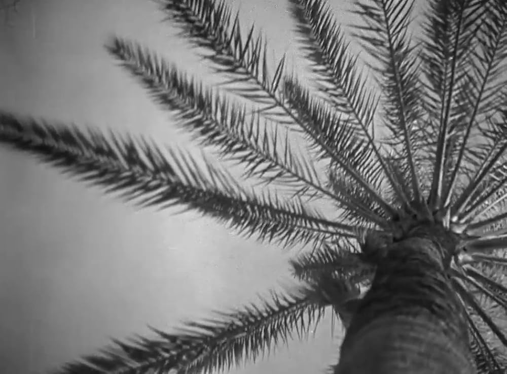 ニースについての画像