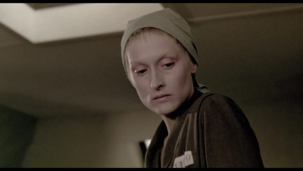 「ソフィーの選択」メリル・ストリープの画像