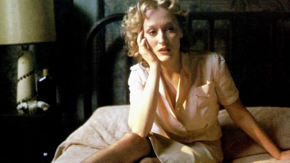 ソフィーの選択の画像