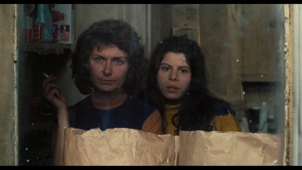 まだらキンセンカにあらわれるガンマ線の影響の画像