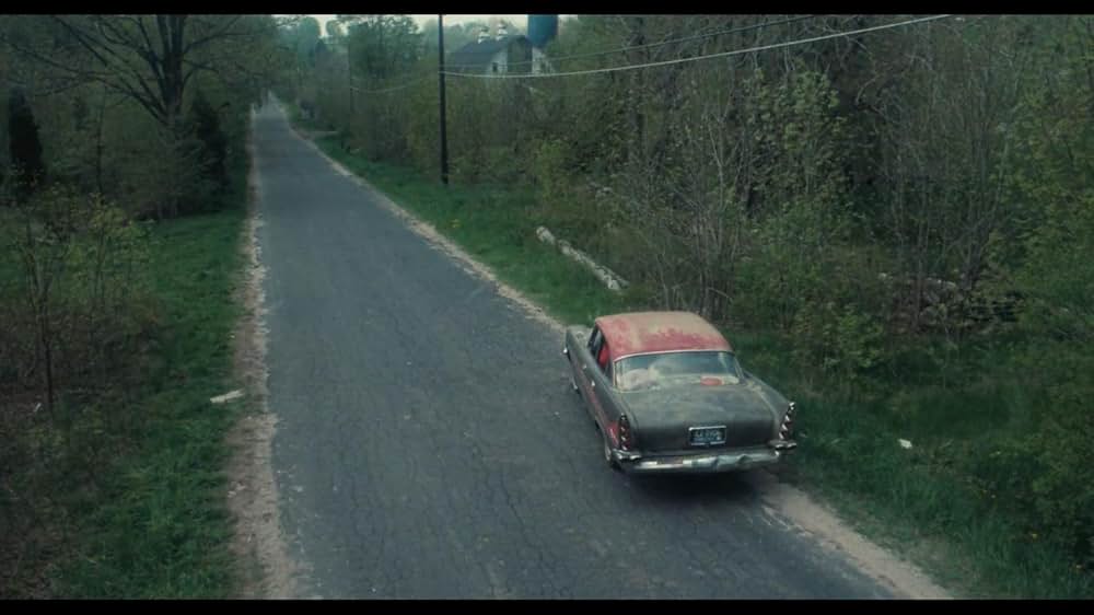 まだらキンセンカにあらわれるガンマ線の影響の画像