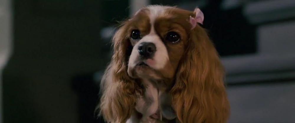 鉄ワン・アンダードッグの画像