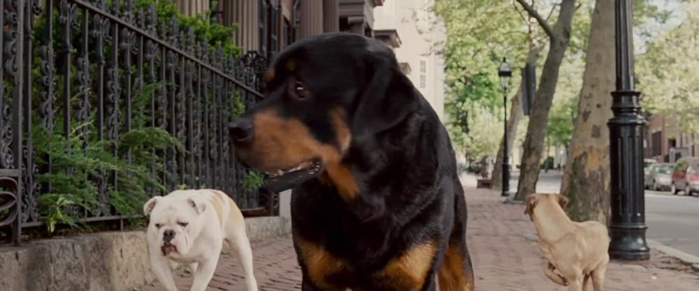 鉄ワン・アンダードッグの画像