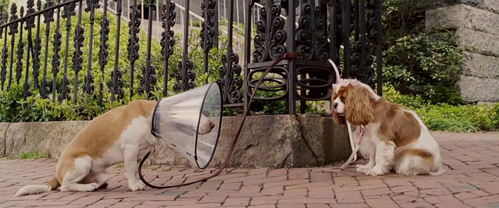 鉄ワン・アンダードッグの画像