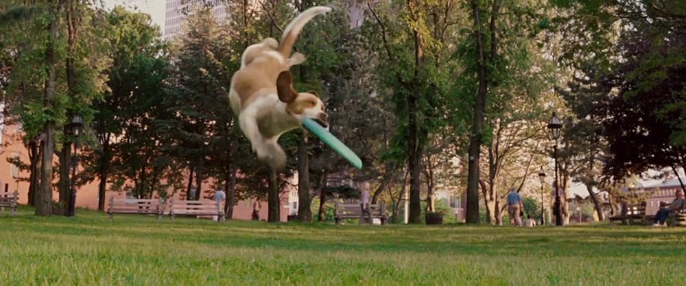 鉄ワン・アンダードッグの画像