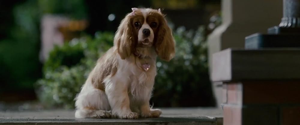 鉄ワン・アンダードッグの画像