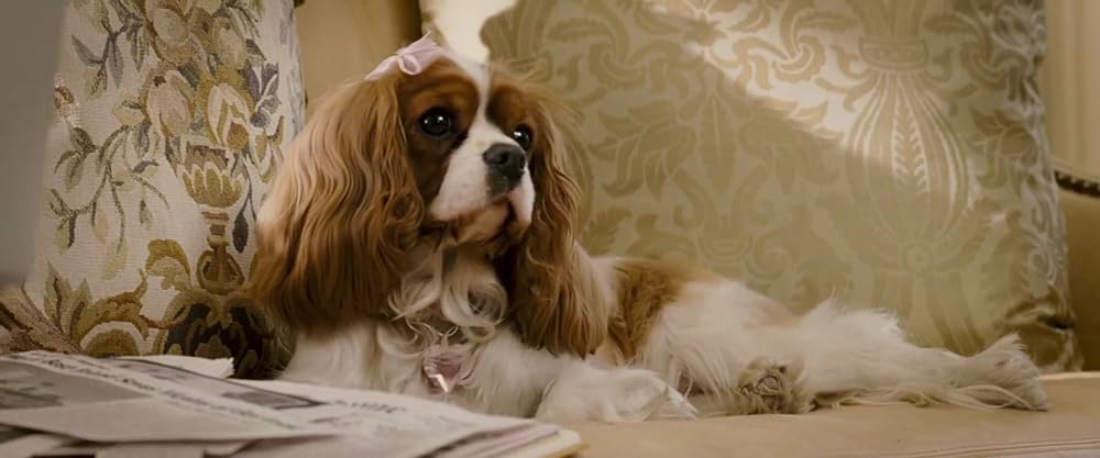 鉄ワン・アンダードッグの画像