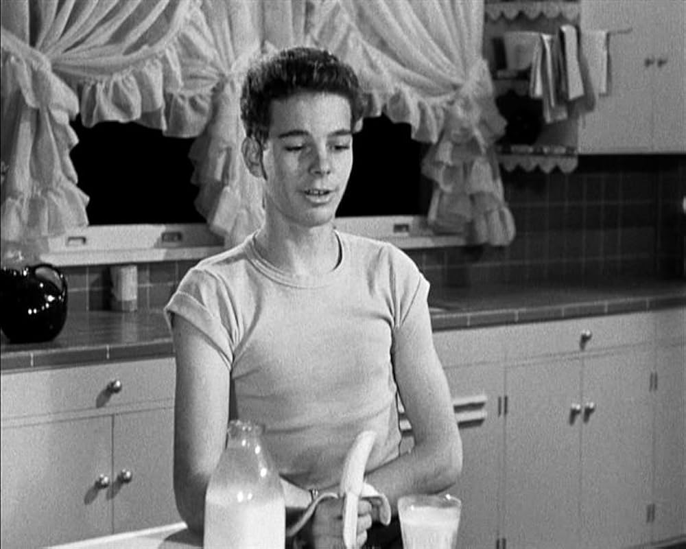 素晴らしき哉、定年！の画像