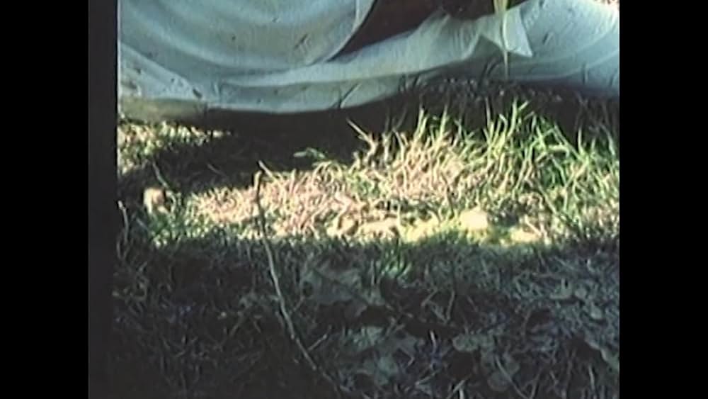 スペース・ゾンビ OZONE！の画像